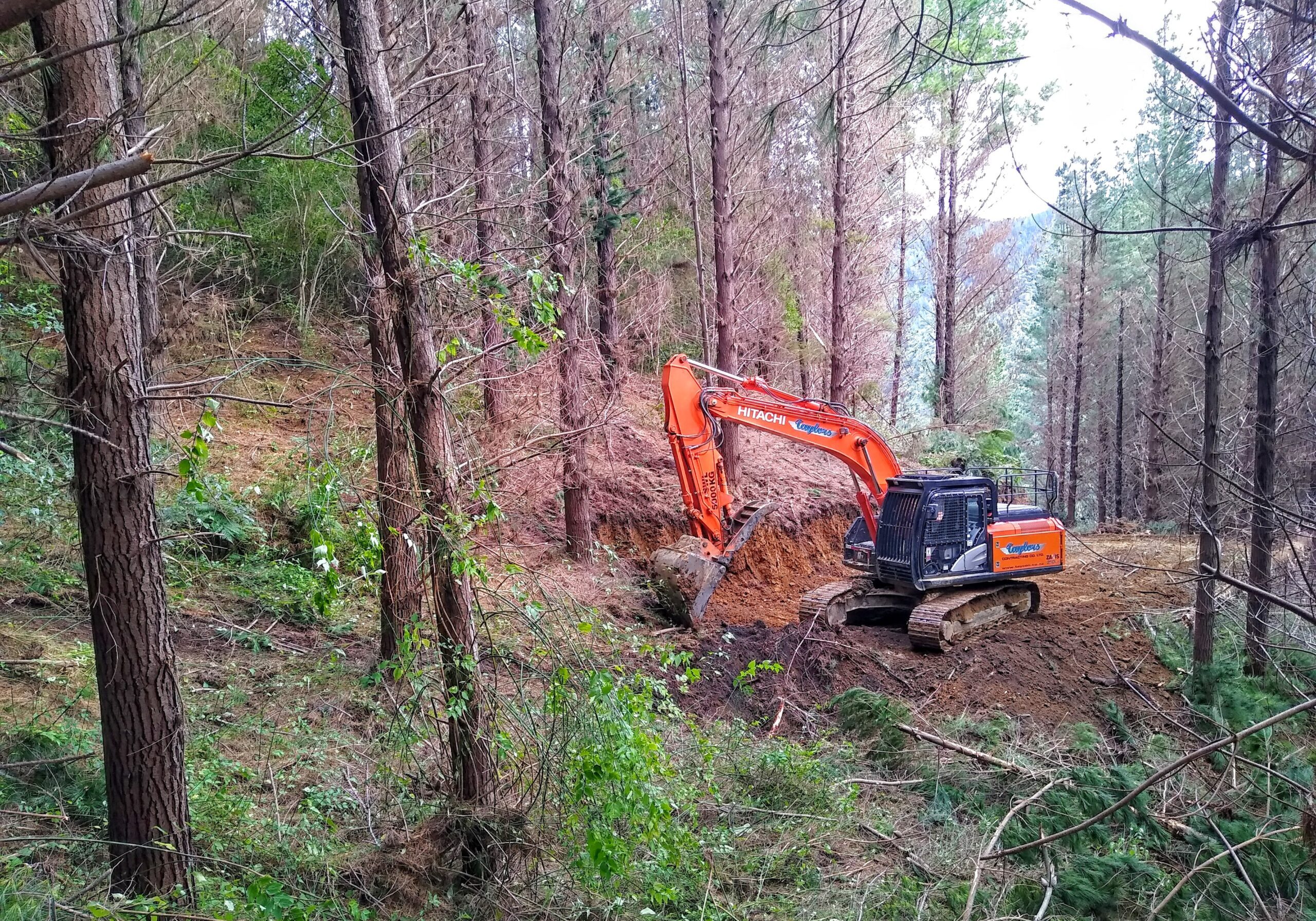 Harvest Tracking Hira Forest