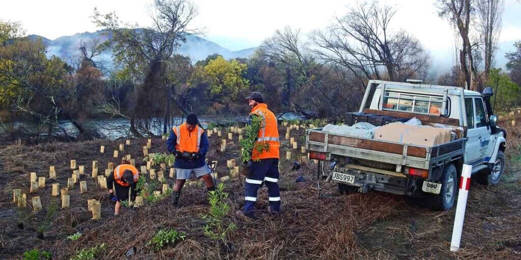 nelson tasman environmental services